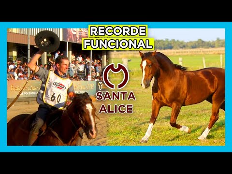 Santa Alice Ranch and the Gold Project