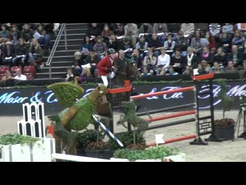 Magnus Romeo (webstallions.com)