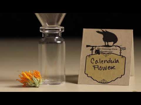 How to Use the Mamba Electric Grinder Tutorial