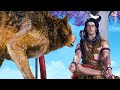 जब कैलाश पर घुस आये भेड़िये ने किया सम�