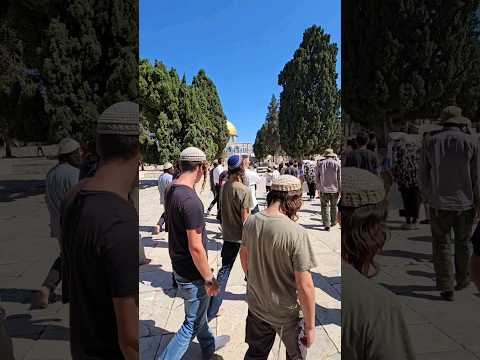 Praise be to God | עליה בטהרה | ייבנה המקדש #nevergiveup #prayforisrael #jerusalem #temple #mikdash