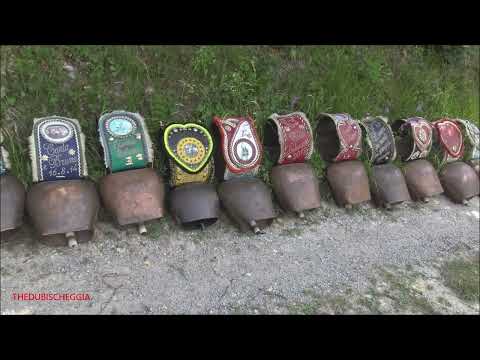 CAMPANACCI "RUDUN" TOLTI DOPO LA TRANSUMANZA UNO PIU' BELLO DELL' ALTRO. - DOM. 26 - 6 - 2022.