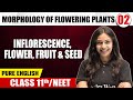 MORPHOLOGY OF FLOWERING PLANTS 02 | Inflorescence, Flower, Fruit & Seed | Botany | Class 11th/NEET