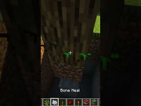 😯How To Make Tree Trap in Minecraft😯(hells_comin_with_me)