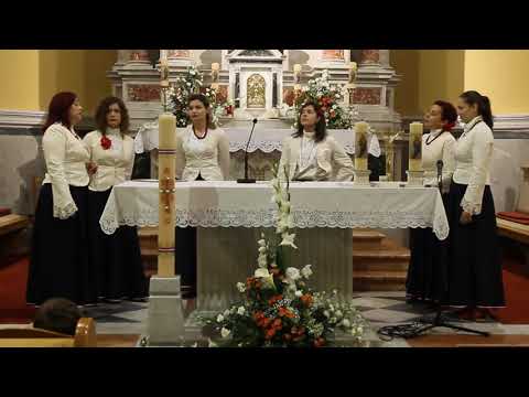 Klapa Nava  -  Lipe san ti govorila riči