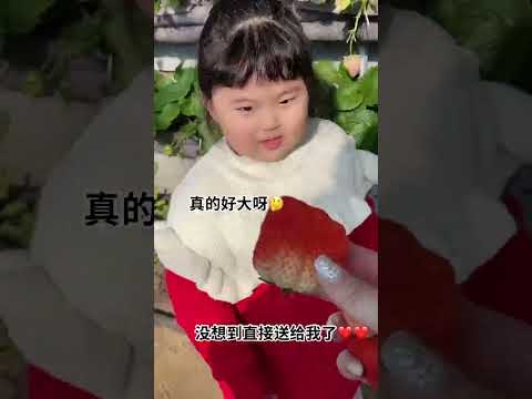 琦 意思