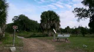 preview picture of video 'Calusa Heritage Trail, Pineland, Pine Island, Florida, USA'