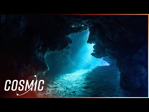 Auf der Suche nach Atlantis: Einblicke in die Tiefseeexpedition