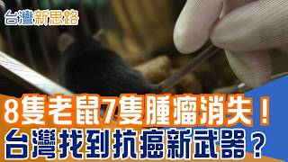 腫瘤真的能「消失」？台灣團隊找到關鍵抗體　8隻老鼠7隻腫瘤消退 乳癌.肺癌也見潛力 直擊台灣抗癌研究最前線!｜【台灣新思路】#三立財經iNEWS