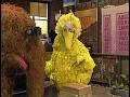 Classic Sesame Street Big Bird And Snuffy Elephant Magic Trick