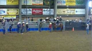 My forth saddle bronc ride