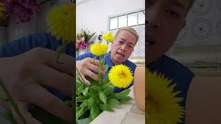 Tu Bloom Recommends Granvia strawflowers