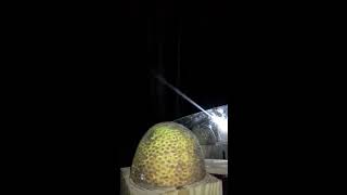 The Harden Lead Tip Penetrator