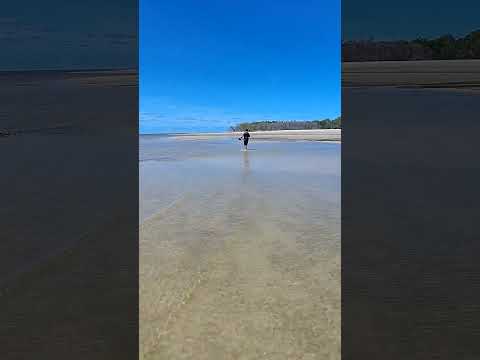 19 de abril de 2026 CAMINHADA PELA PRAIA EM MANGUE SECO/BA...TRAJETO 6KM