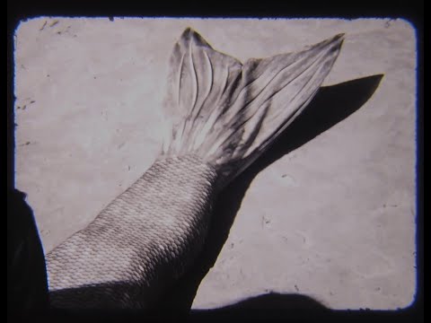 MER - A Short Shot on 16mm Film
