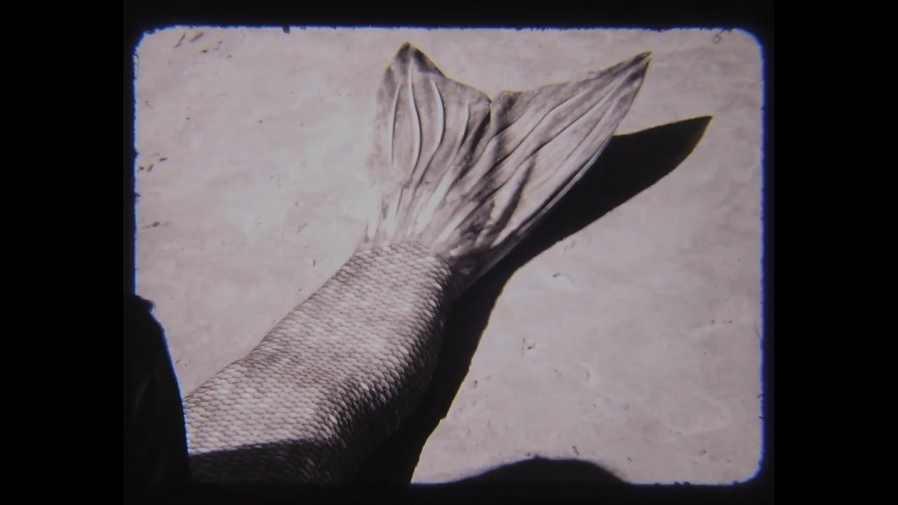 MER - A Short Shot on 16mm Film