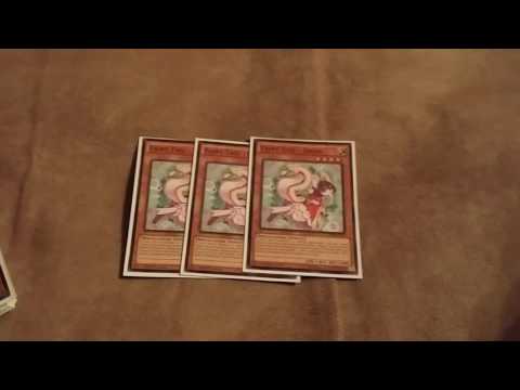 Zoodiac Minerva lightsworn deck