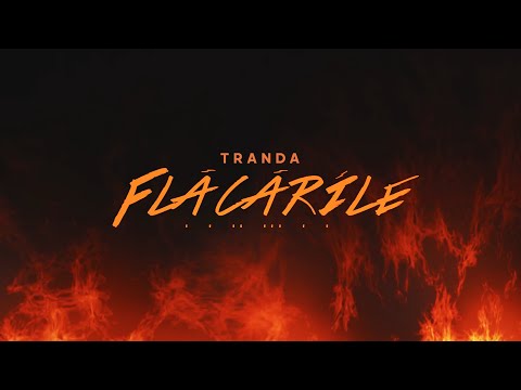Tranda - Flacarile (Official Audio)