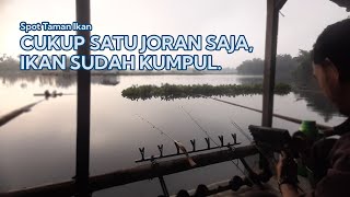 Download lagu SIAPA SANGKA, BARU SATU JORAN DISERANG SEGEROMBOLAN IKAN - Mancing Saguling 2025 #78 mp3 Download lagu SIAPA SANGKA, BARU SATU JORAN DISERANG SEGEROMBOLAN IKAN - Mancing Saguling 2025 #78 mp3