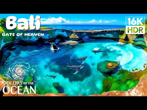 Bali 8K HDR Ultra HD | Heavenly Tropical Paradise & Scenic Island Bliss 🌴