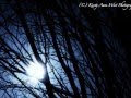 Runrig - A Reiteach