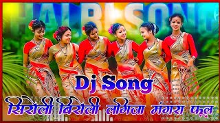 Download lagu Halbi Dj Song !! सीरोली बिरोली लगिजा मंगारा फूल !! Bastariya New Halbi Dj Remix Video 2023 mp3 Download lagu Halbi Dj Song !! सीरोली बिरोली लगिजा मंगारा फूल !! Bastariya New Halbi Dj Remix Video 2023 mp3