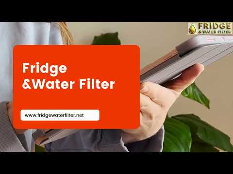 Refrigerator Guide: Keeping Your Food Fresh & The Importance of Water Filters