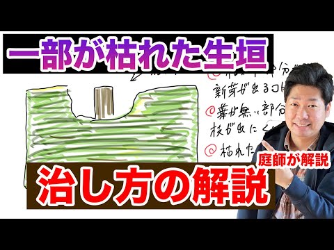 夏は生垣刈り禁止?それが法律で決まっていることです トピックス