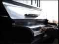 The Herbs Parsley The Lion Piano