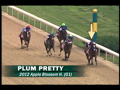 Plum Pretty - 2012 Keeneland November Breeding Stock Sale