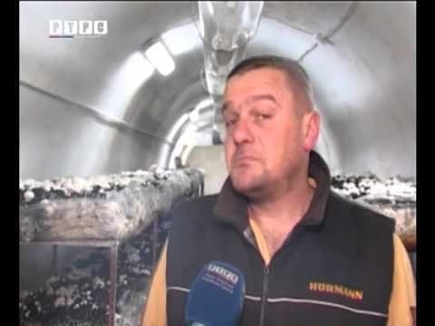 sampinjoni ljubija-RTRS prilog