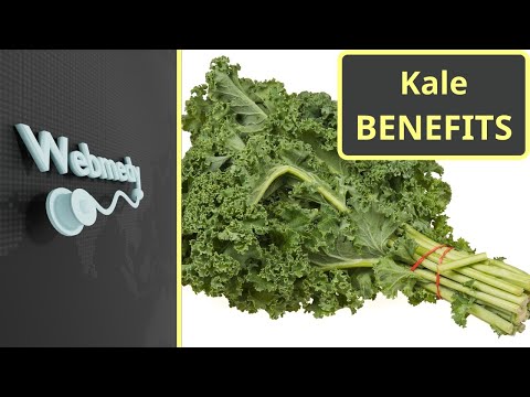 Is Kale Good for you? | Top 5 Health Benefits of Kale