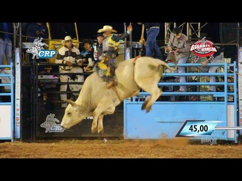 Rodeio de Cândido Mota 2016 - MELHORES TOUROS / QUINTA FEIRA