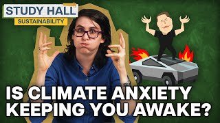 What is the Future of Sustainability? | Sustainability 30 of 31 | Study Hall