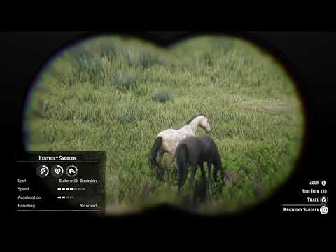 Rdr2 horse locations: the Kentucky saddler buttermilk buckskin