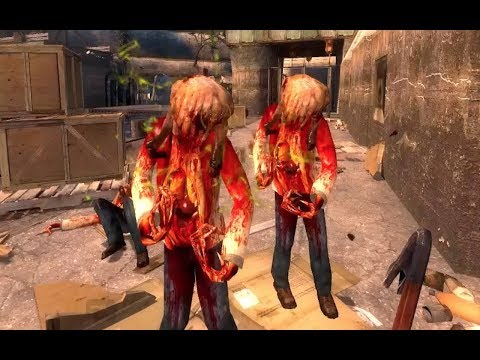 Heron for Half-Life II