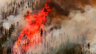 Mysterious Death of Van Gogh