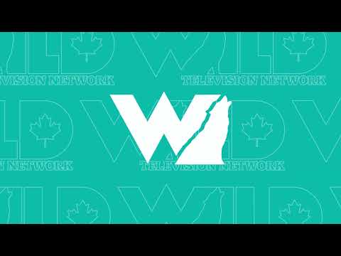 WildTV Promo of the CCFR's New Television Show - CCFR Radio - On The Air