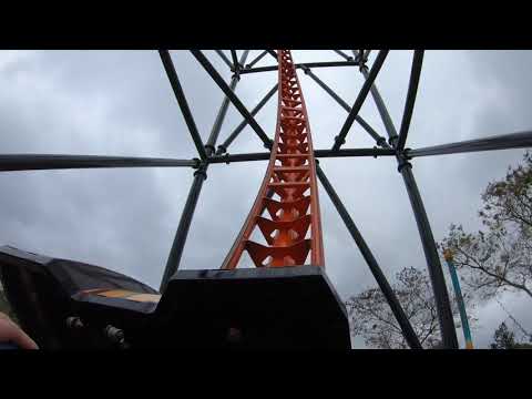 Tigris Front Seat On-Ride POV, Busch Gardens Tampa