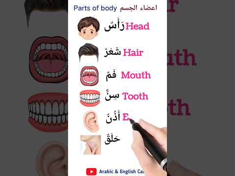 Parts of the body #english #arabiclanguage #arabic #learnenglish #arabiclenguage #education