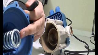 Domestic water pump controller