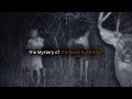 Top 10 Scary Videos You Weren T Meant To See Including A Black Eyed Kids Encounter