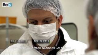 CUORE: Il metro cubo più freddo dell&#39;universo