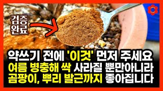 [긴급제작] 기다리면 100% 늦어요, 지금 바로 해야 합니다 (feat. ㅅㄴㅁ의 검증된 대박 효과, 여름…