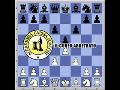 SCACCHI ESPERTI: il cuneo arretrato 11