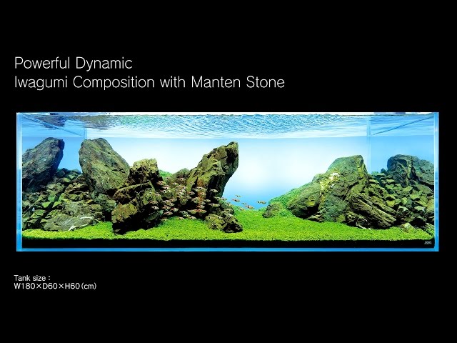 [ADAview] 180cm Aquarium Layout: Iwagumi Composition with Manten Stones