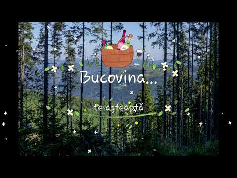 Bucovina te asteapta! Bucovina Residence & SPA ****