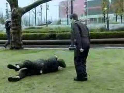 "Fat Man Rolling, Single Man Jumping" - David Greg Harth