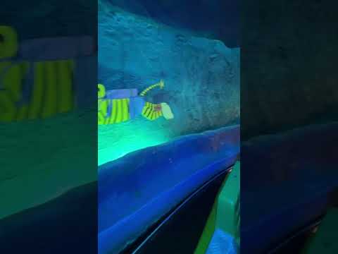 Bootsfahrt im Filmpark Babelsberg Panama | Rennois1987