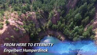 Engelbert Humperdinck   From Here to Eternity